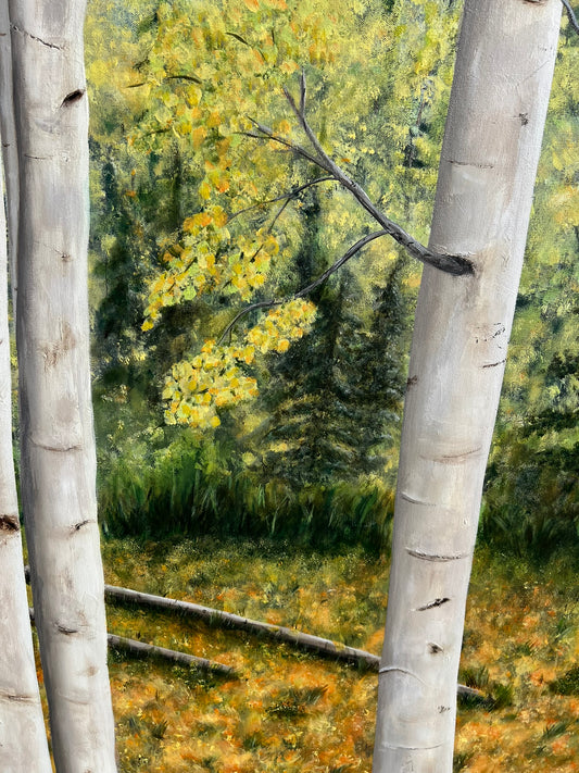 Aspen in the Fall