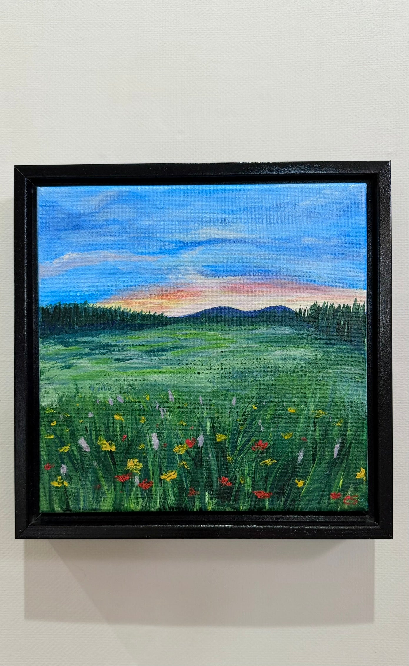 Meadow of Peace