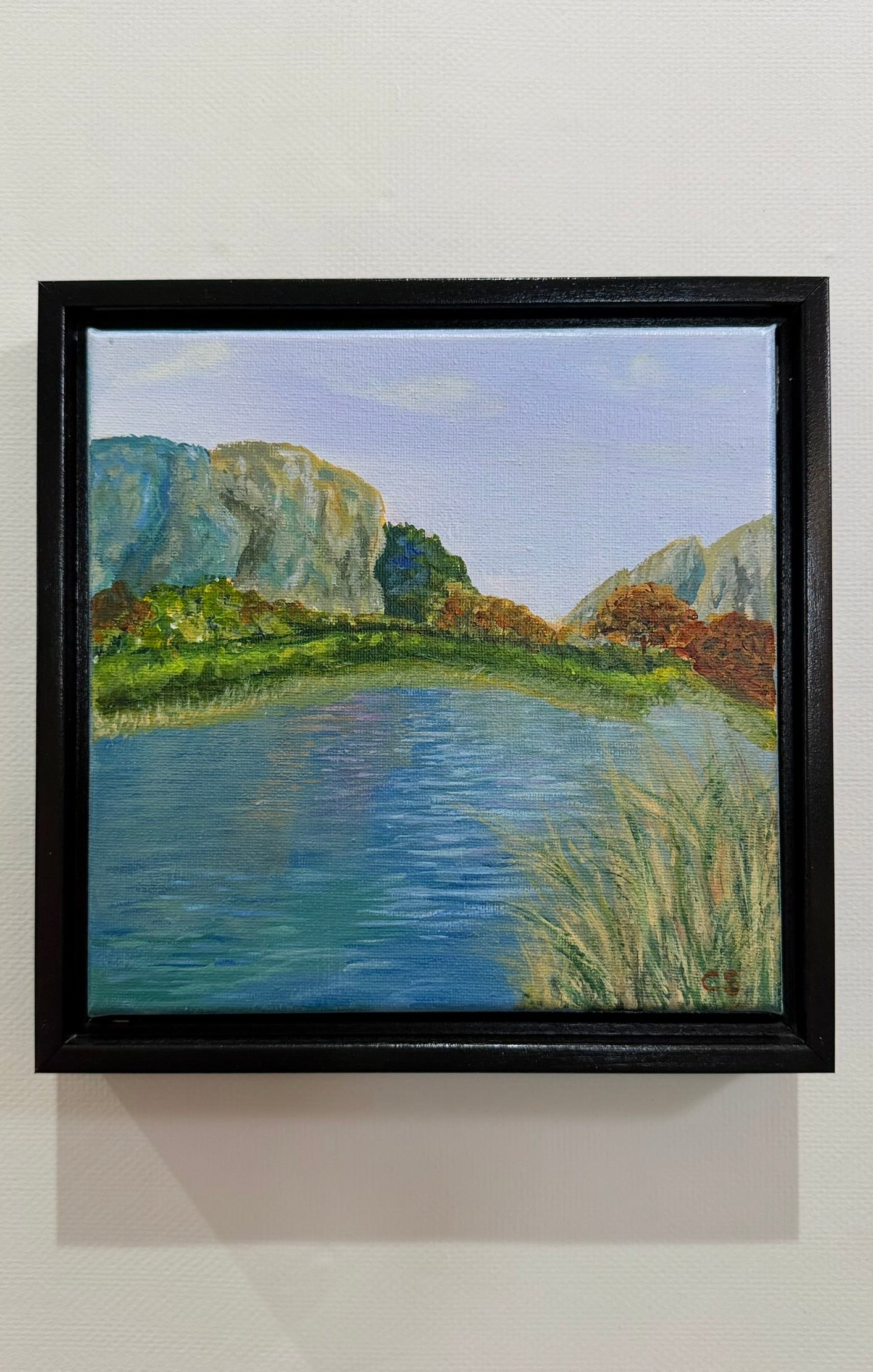 Mountain Lake Co.