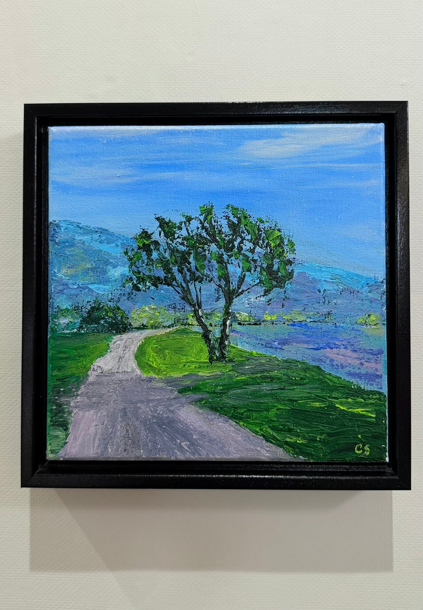 Road to the Lake