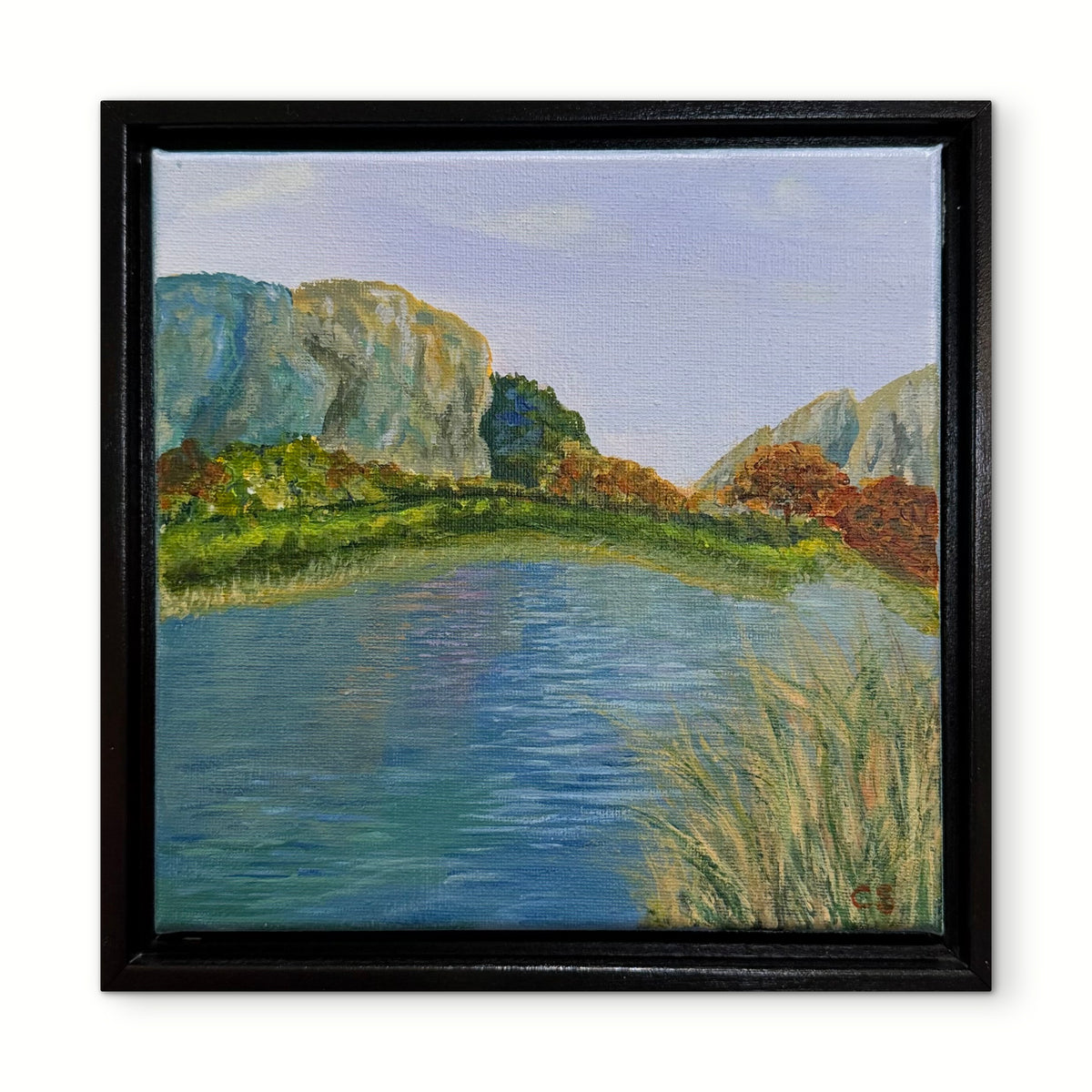 Mountain Lake CO.