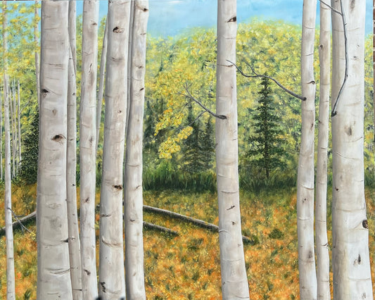 Aspen in the Fall