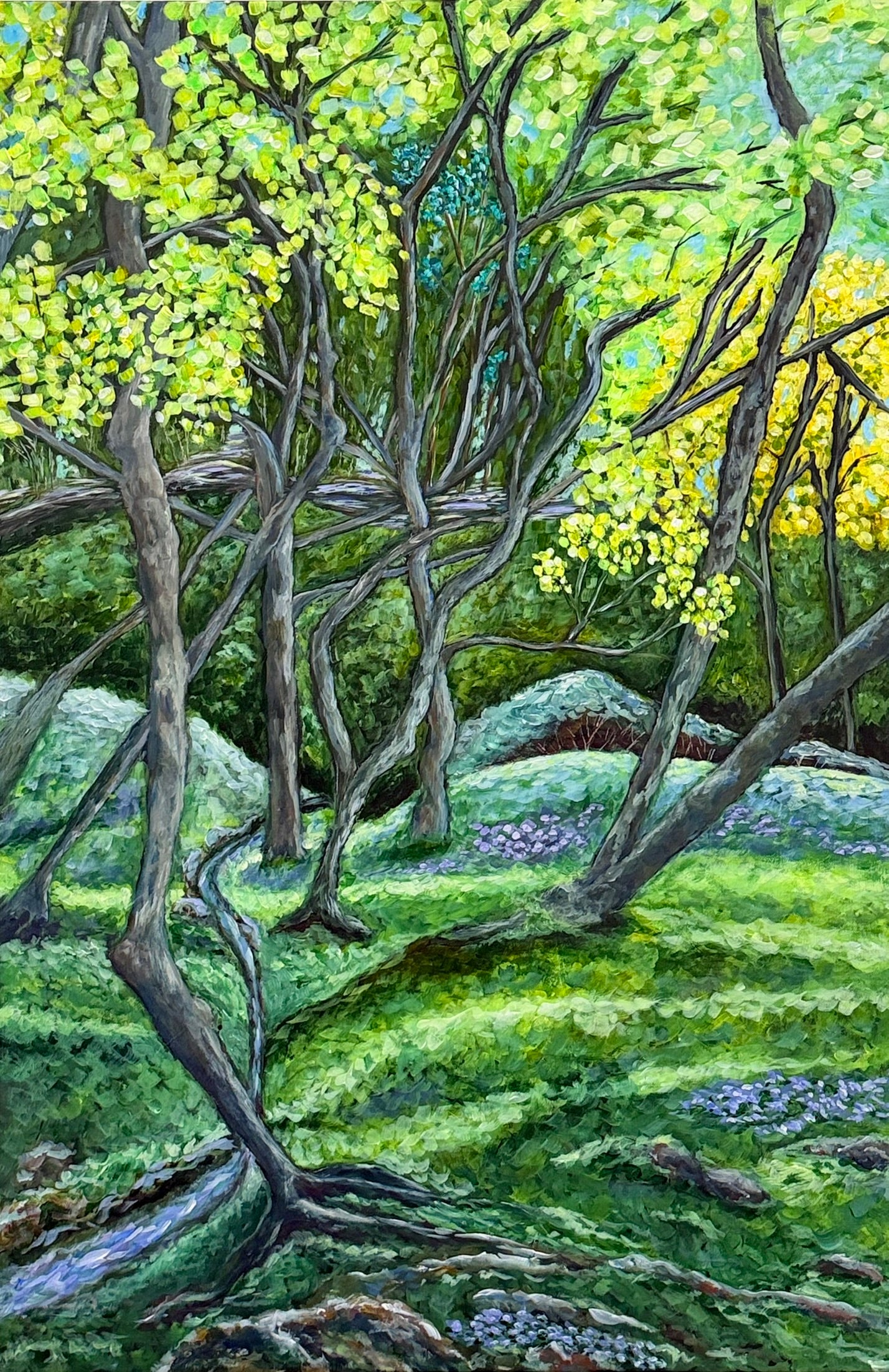 Walk in the Forest