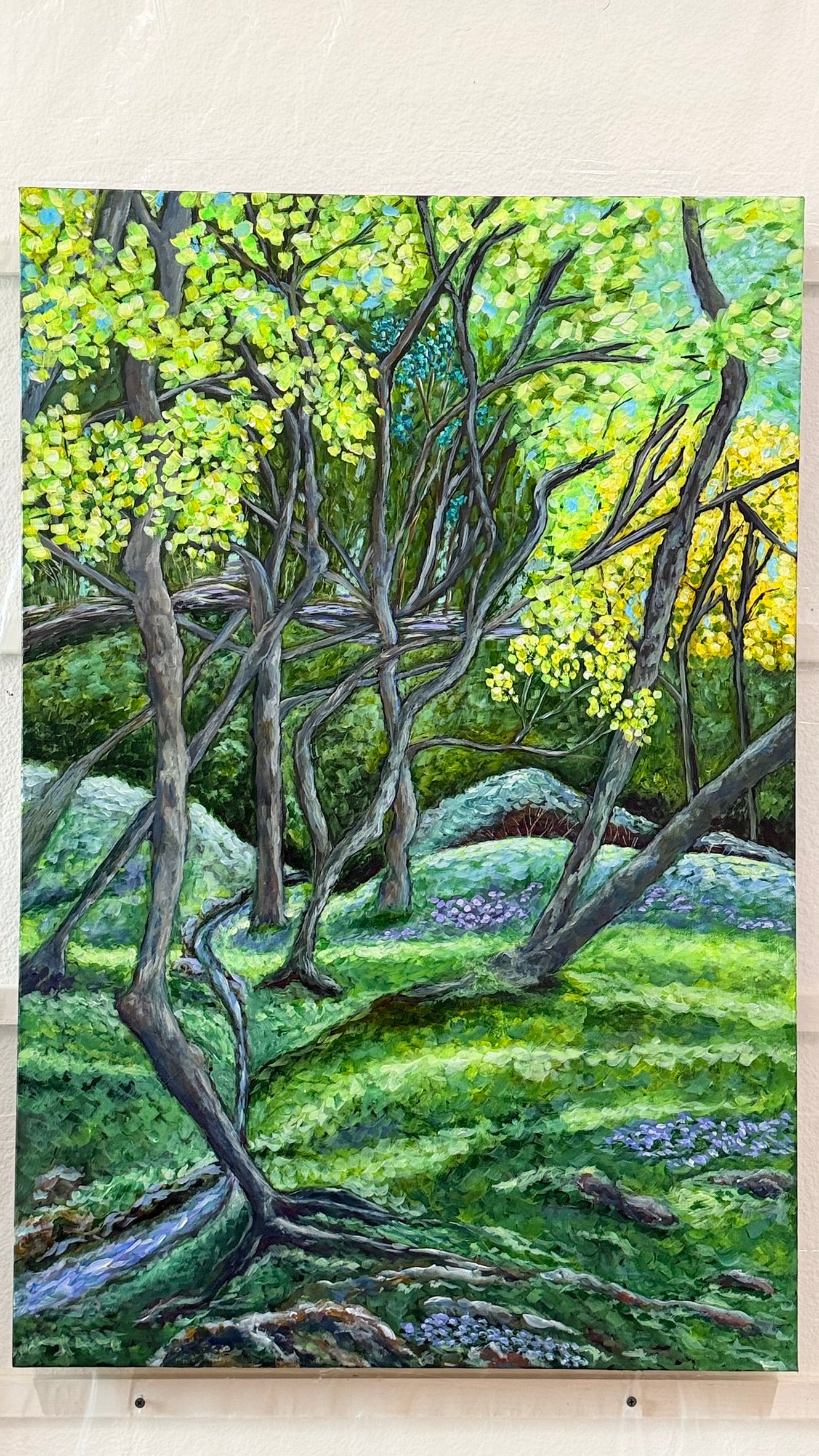 Walk in the Forest