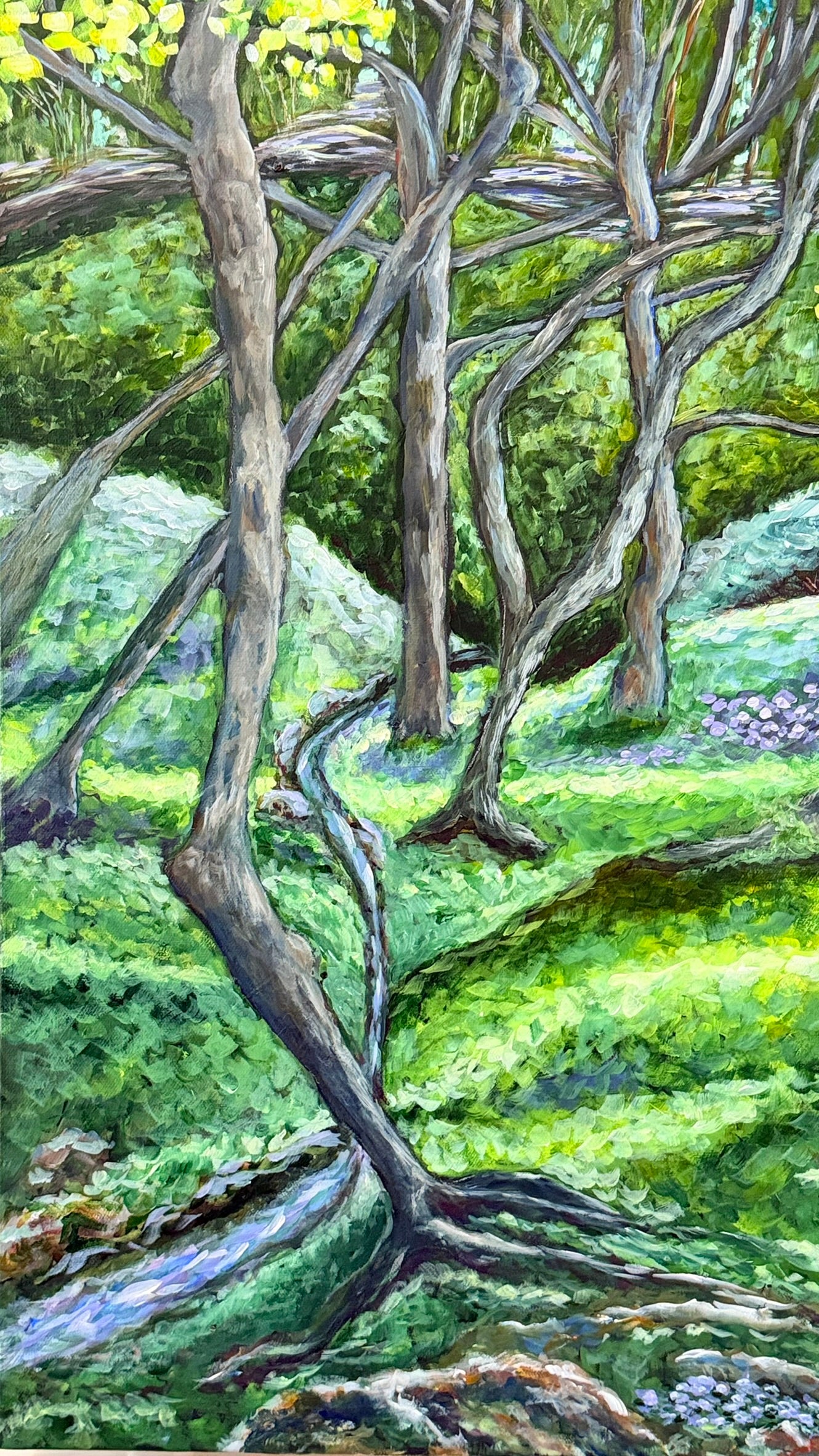 Walk in the Forest