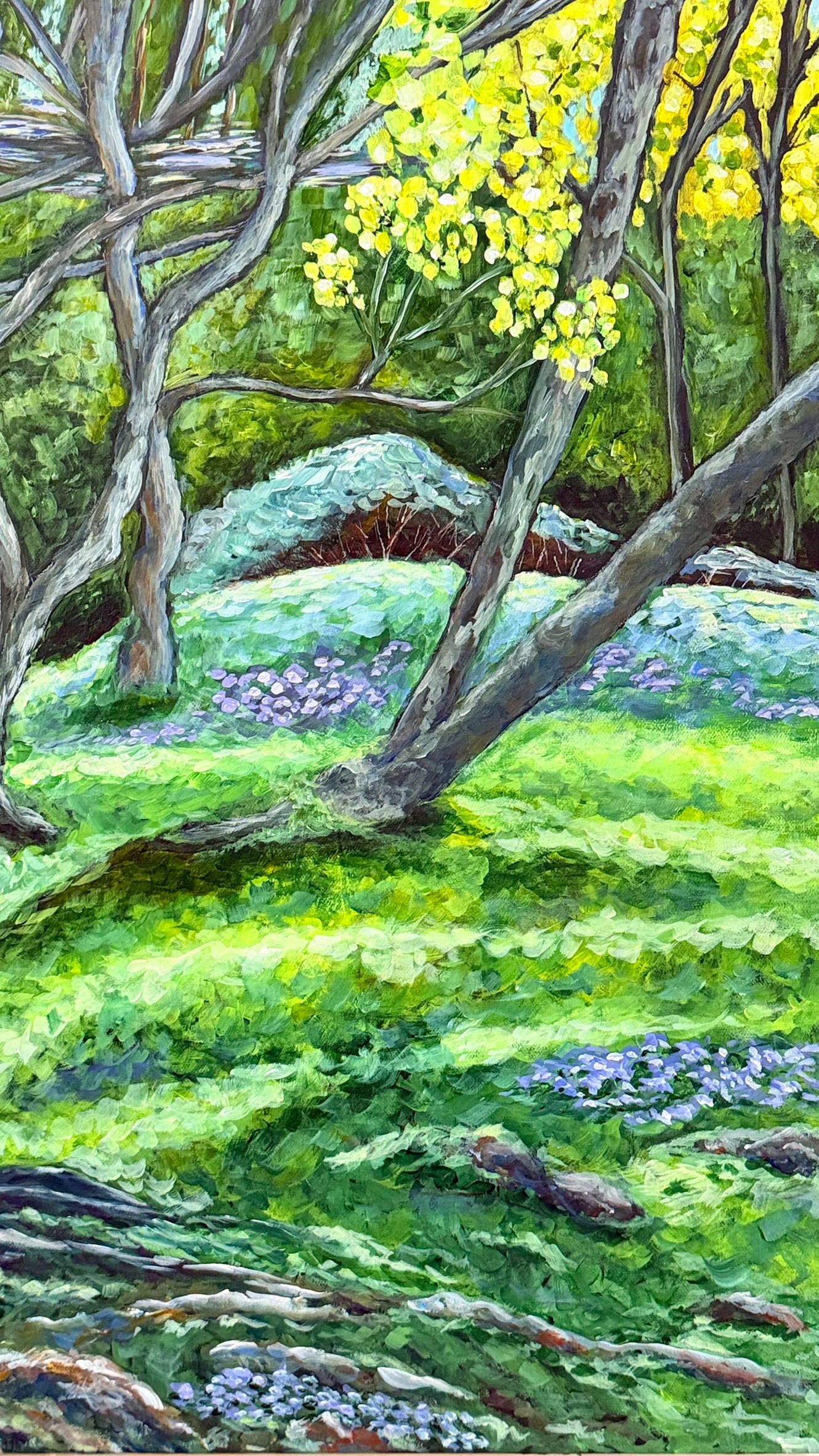 Walk in the Forest