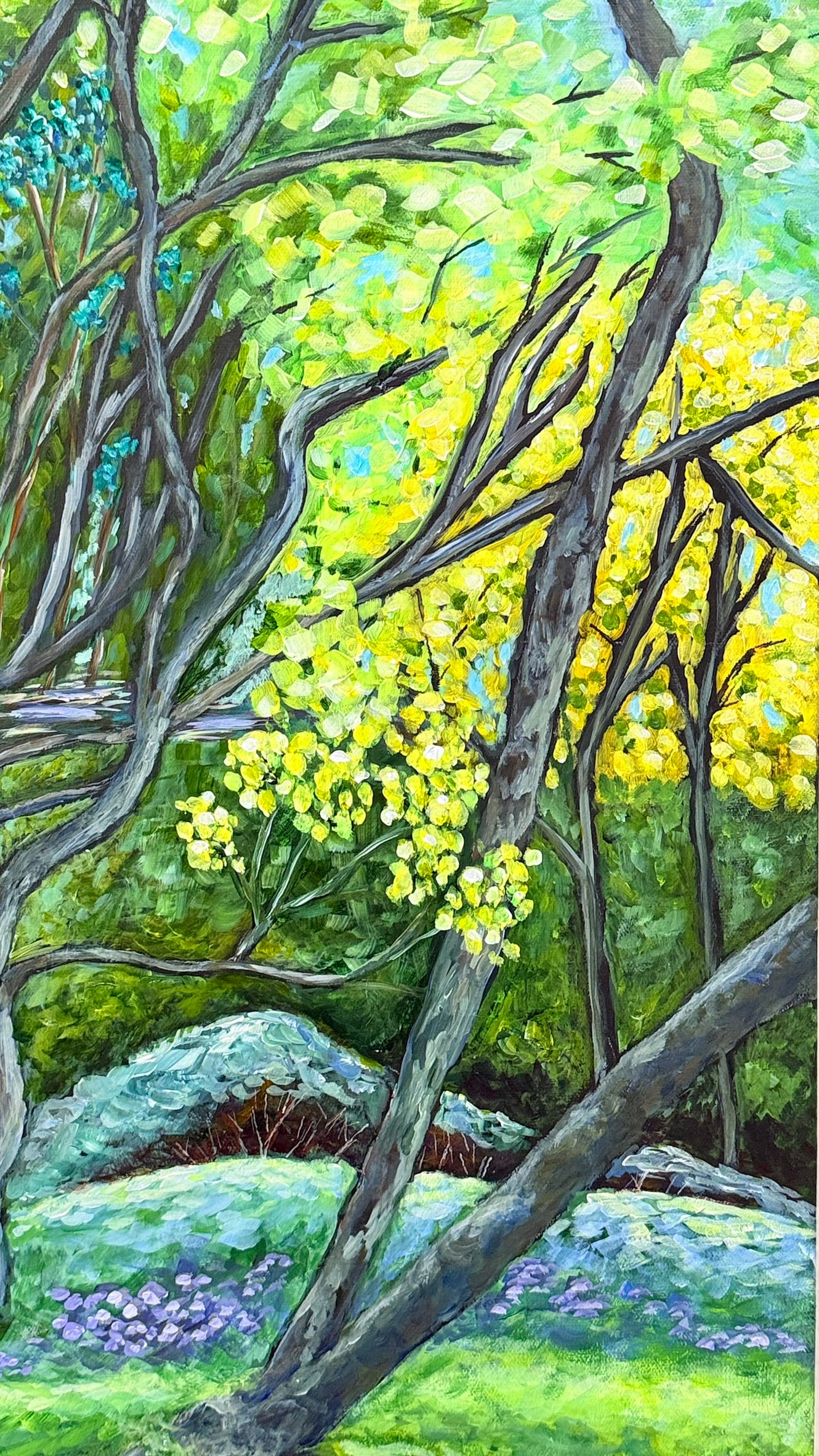 Walk in the Forest