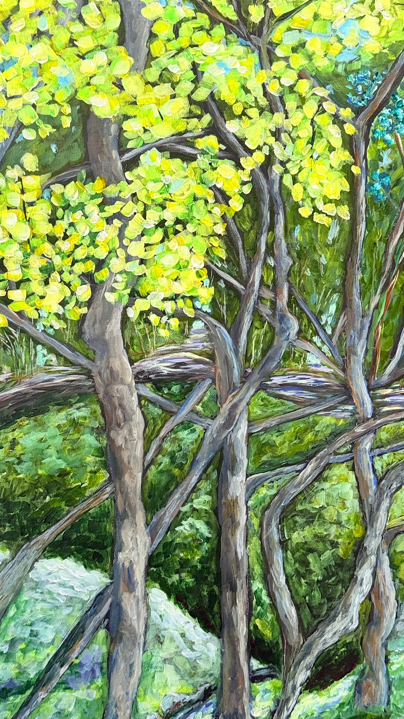 Walk in the Forest