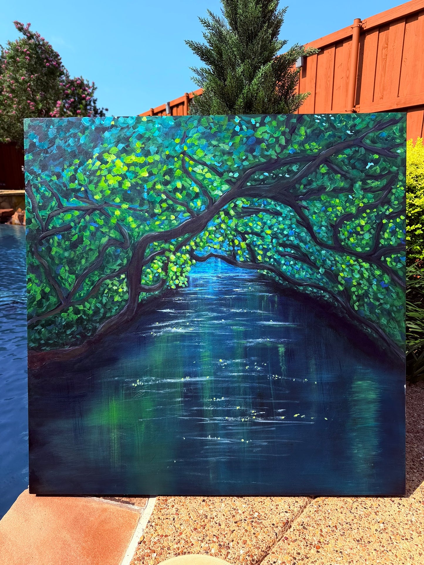 Summer Reflections