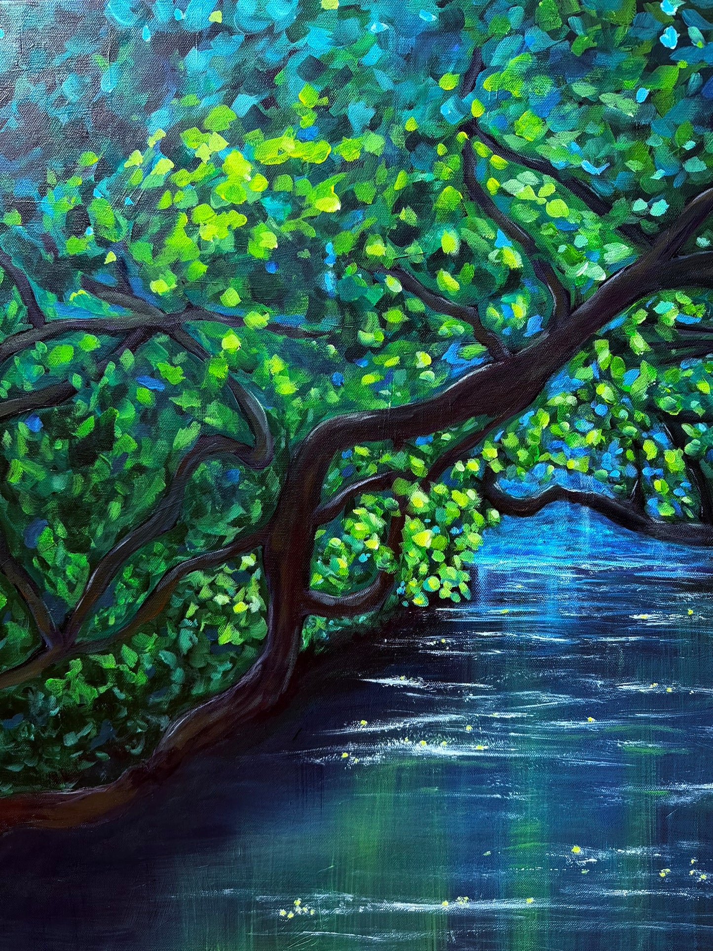 Summer Reflections