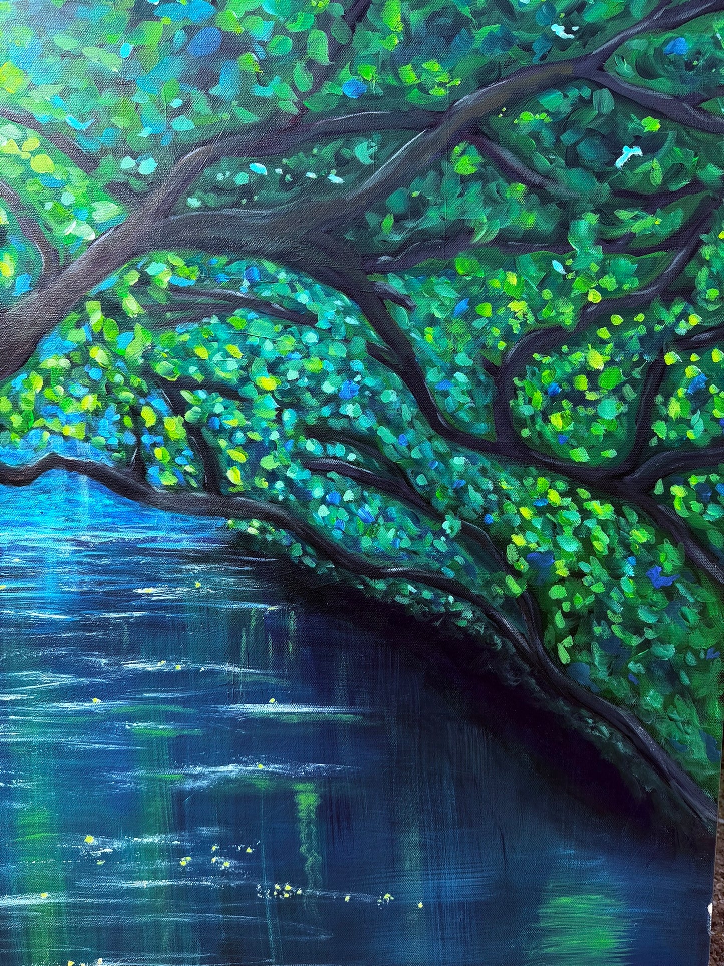 Summer Reflections