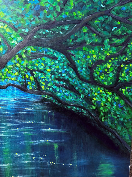 Summer Reflections