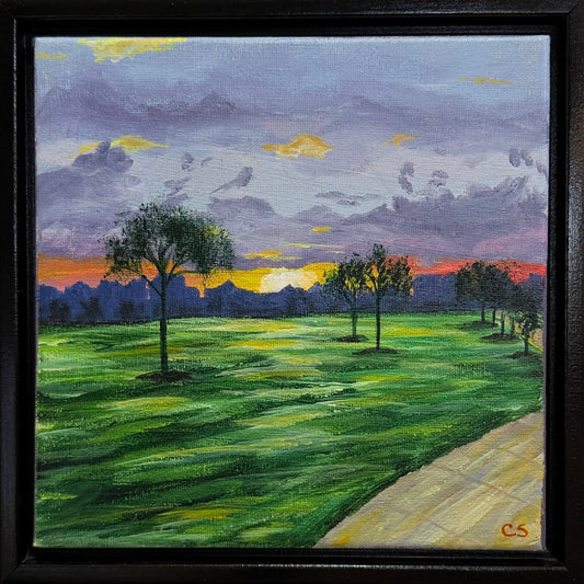Sunrise Walk in Frisco