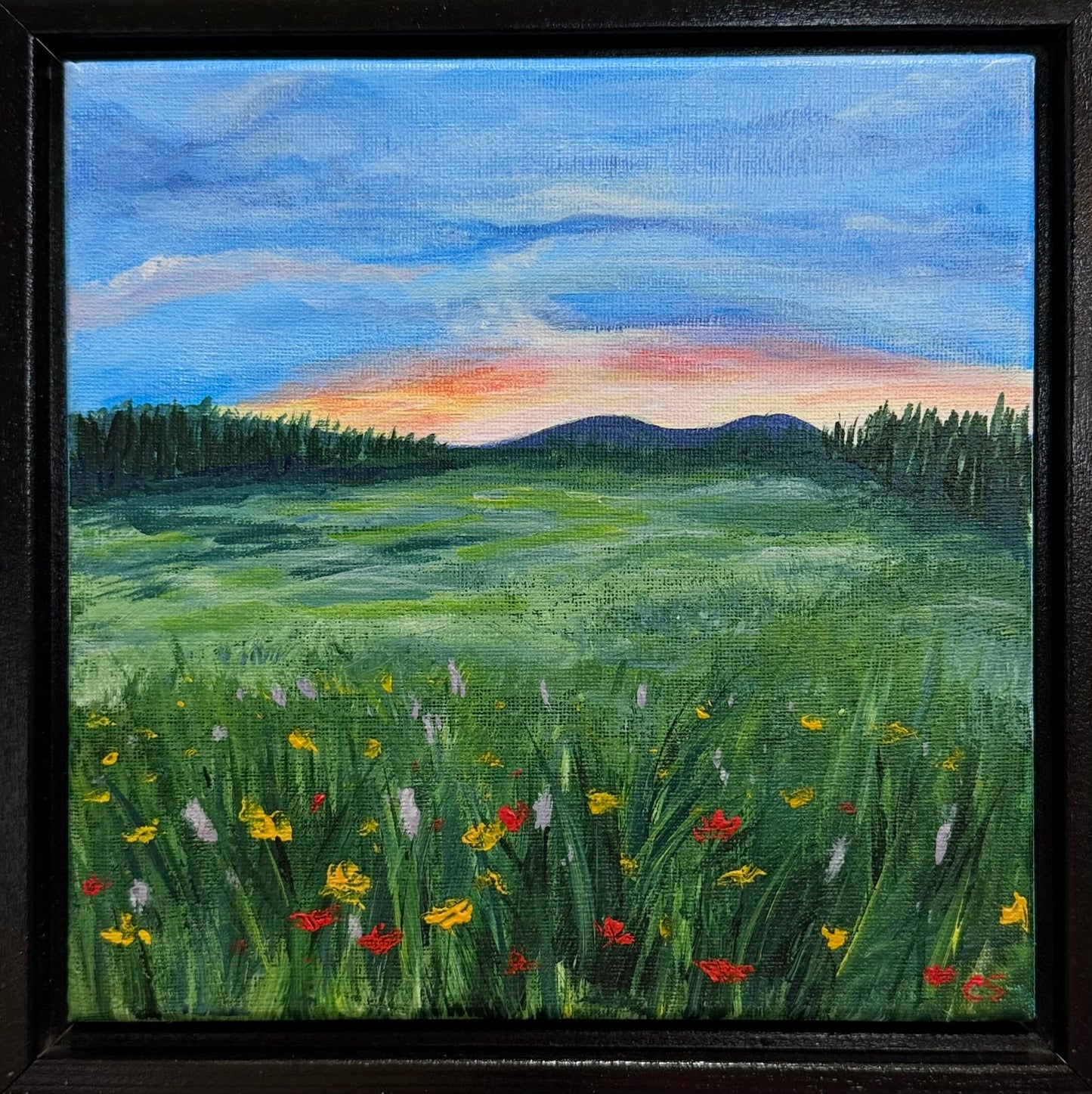 Meadow of Peace