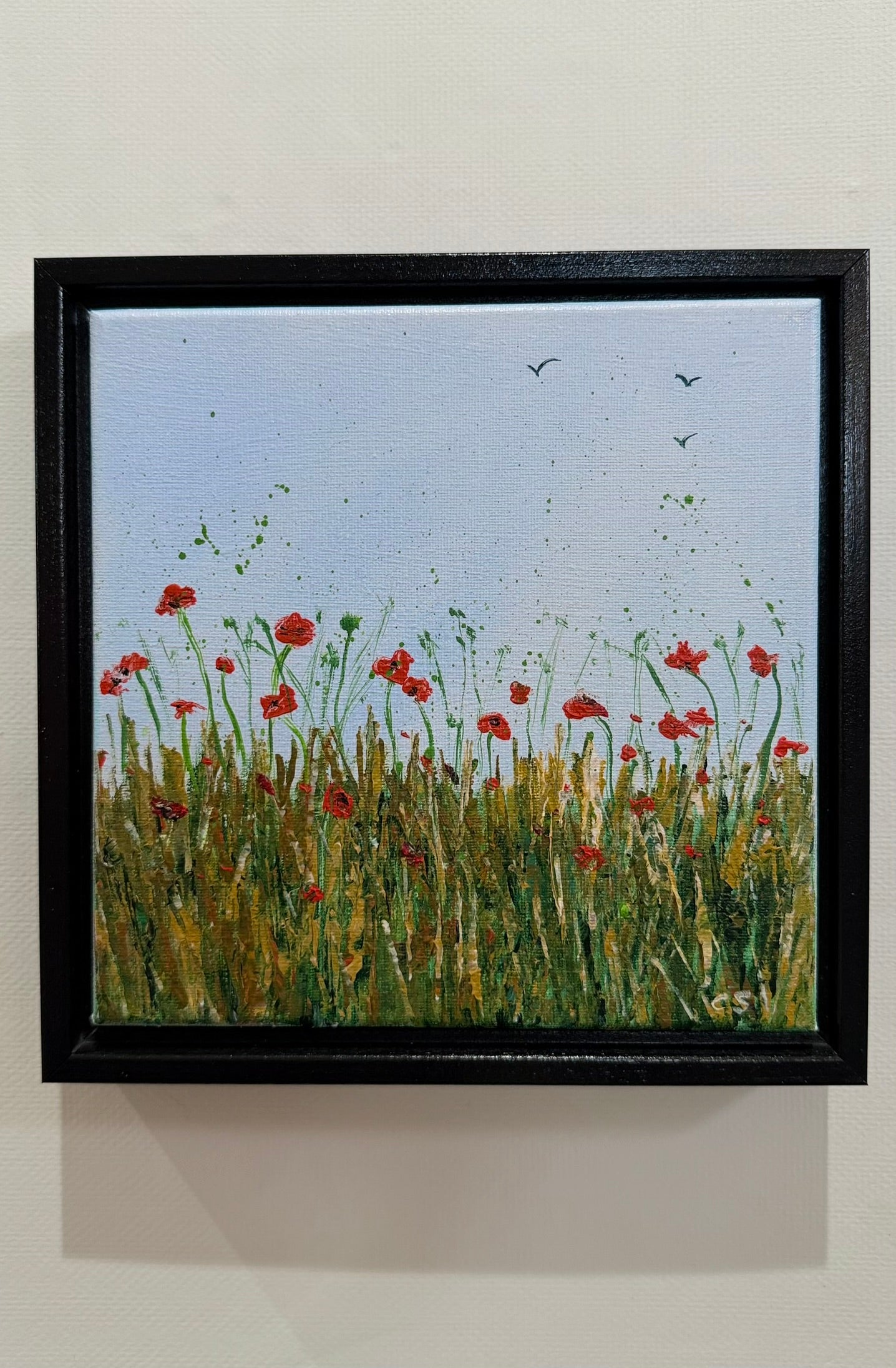 Poppies in the Summer
