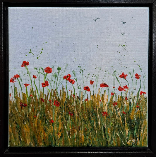 Poppies in the Summer