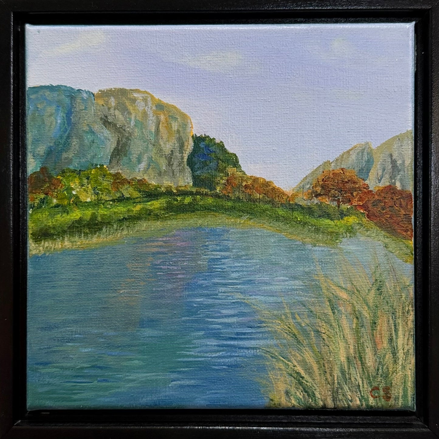 Mountain Lake Co.