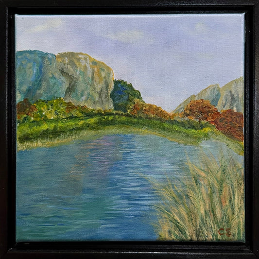 Mountain Lake CO.