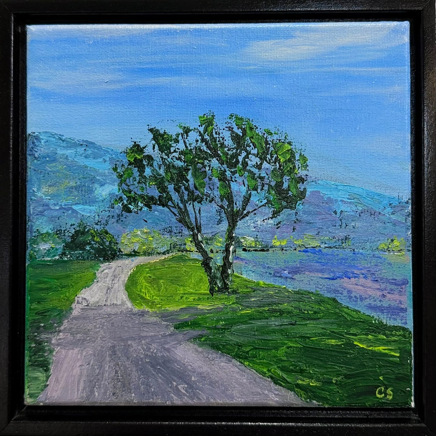 Road to the Lake