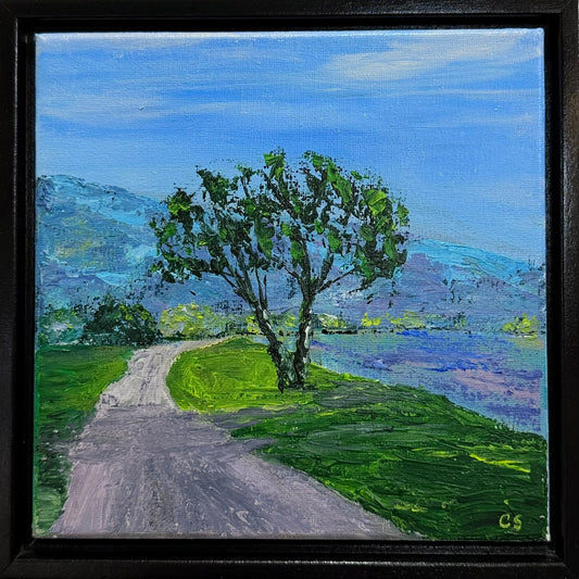 Road to the Lake
