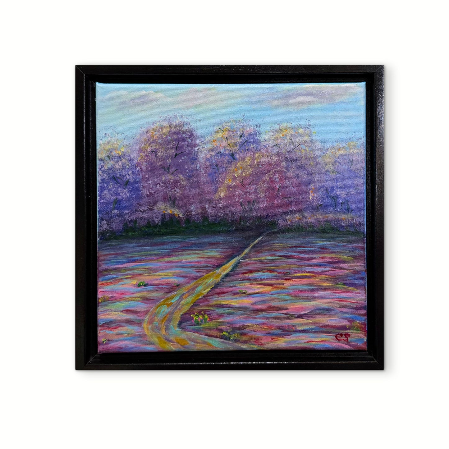 Spring Fields