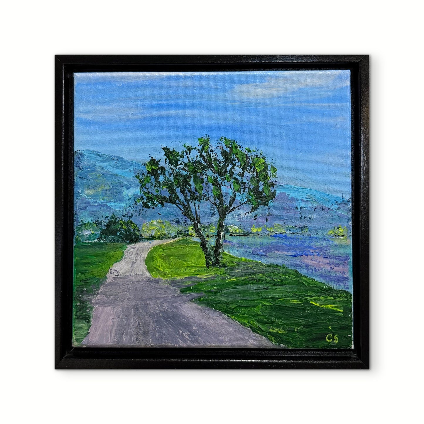 Road to the Lake
