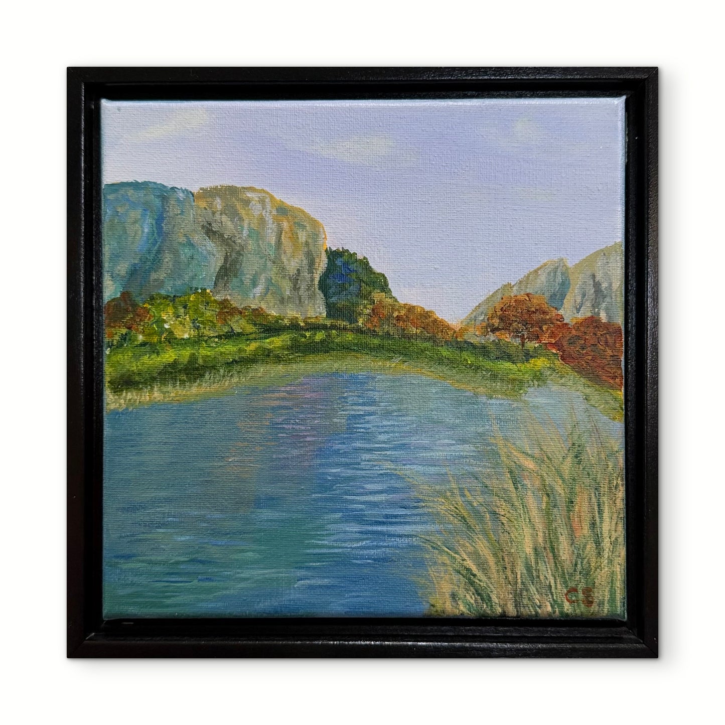 Mountain Lake Co.
