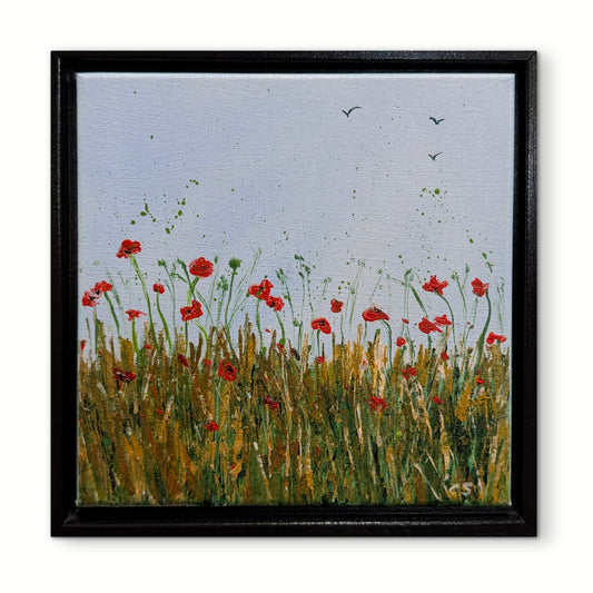 Poppies in the Summer