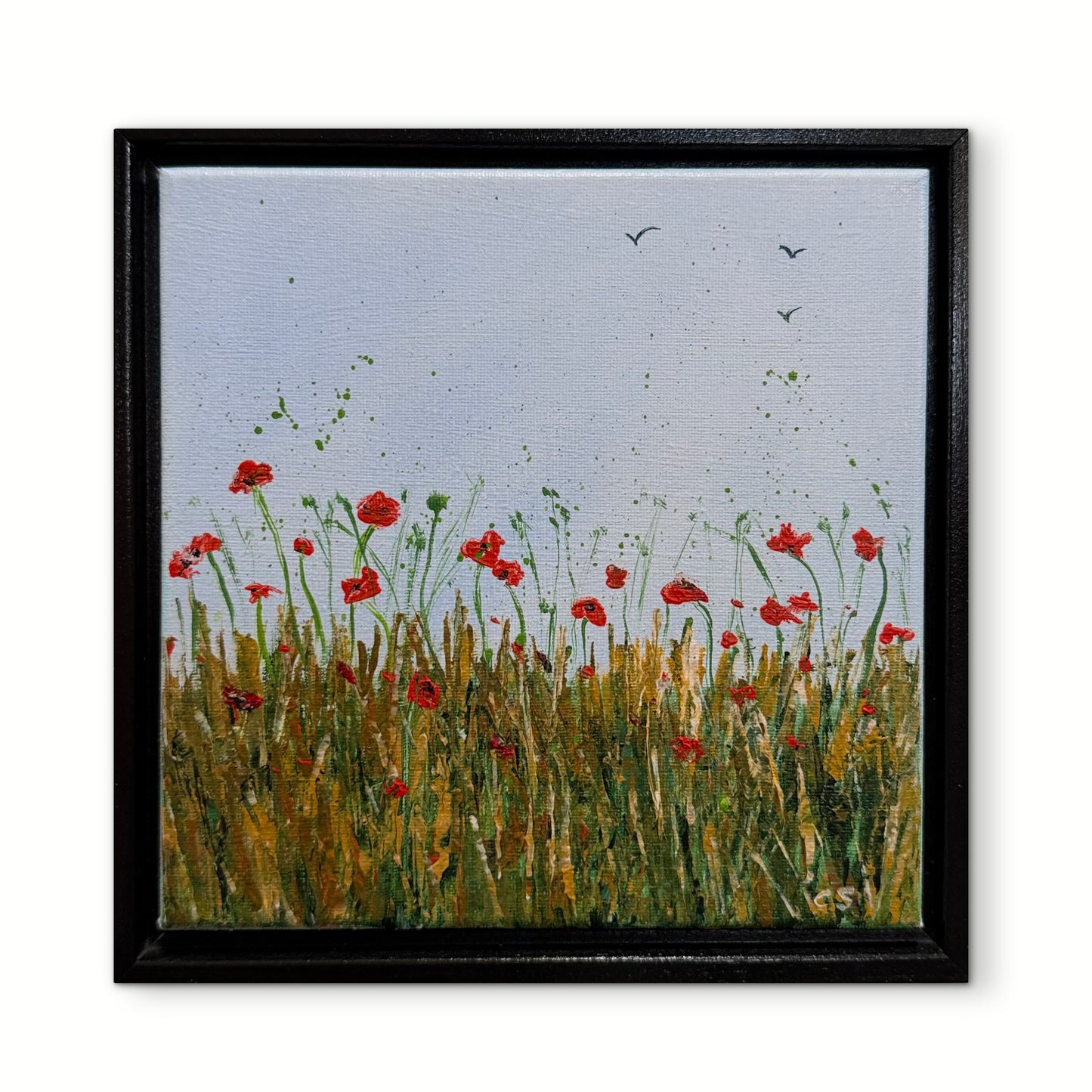 Poppies in the Summer