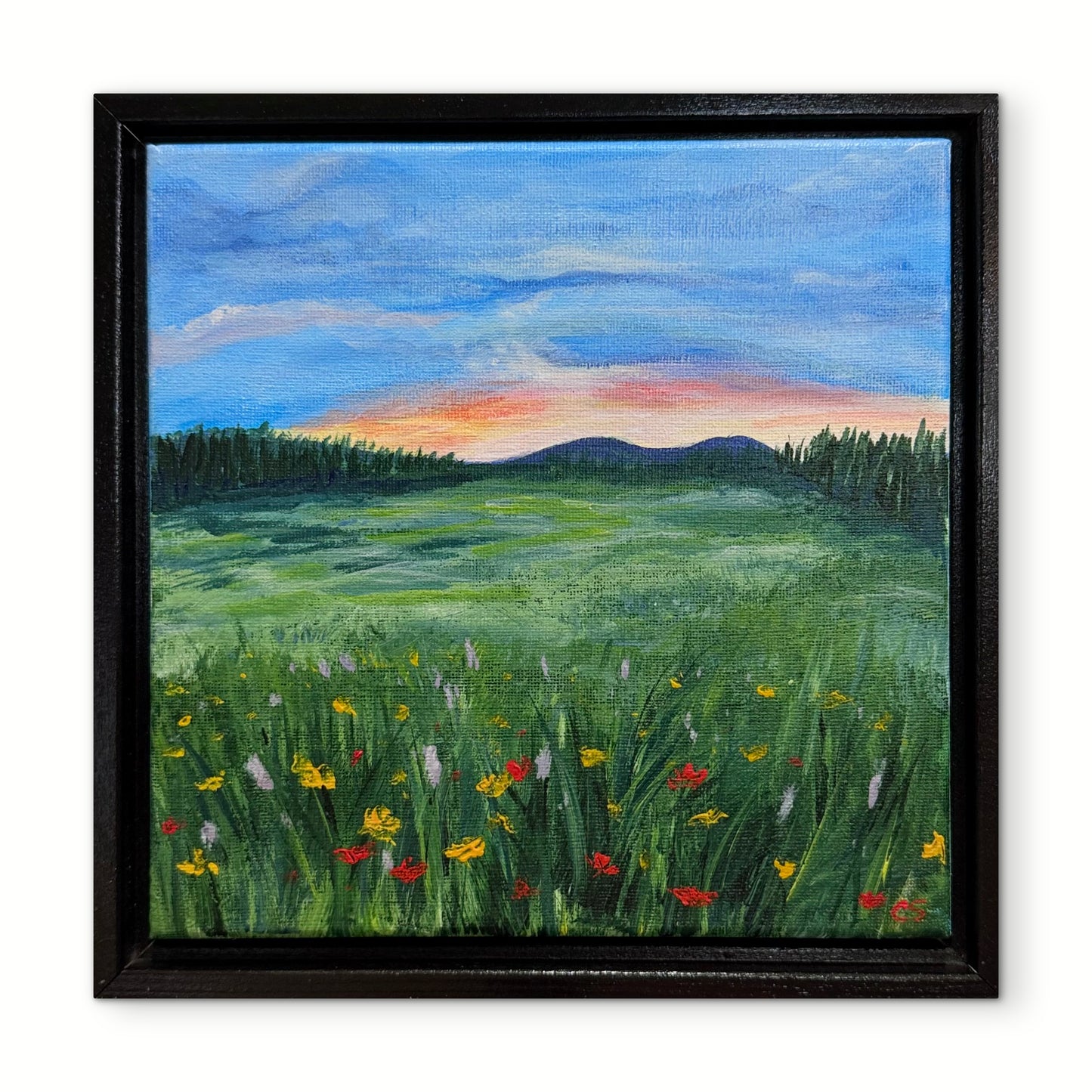 Meadow of Peace